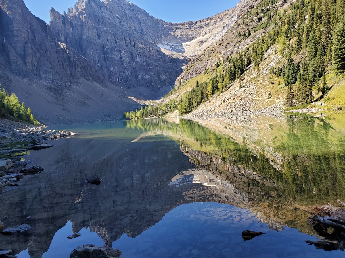 Resources Dragonfly Wellness